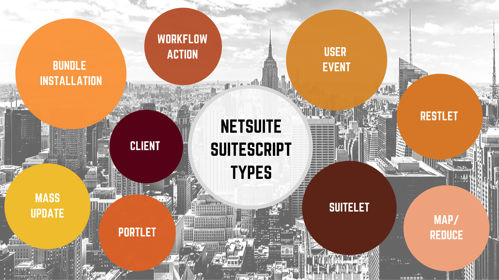 NetSuite SuiteScript Types 