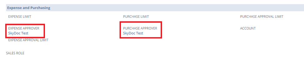 NetSuite SkyDoc approval purchase approver